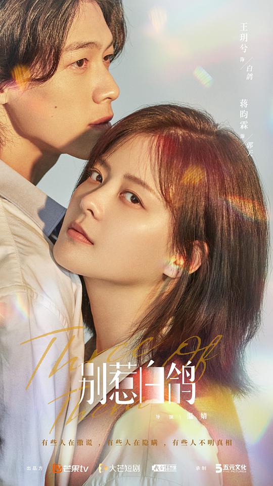 别惹白鸽封面图