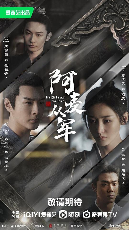 阿麦从军封面图