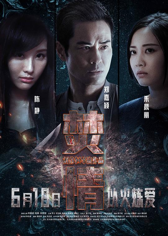 焚情封面图