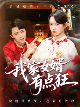 我家女婿有点狂封面图