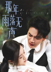 那年雨落无声封面图