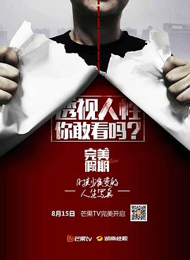 完美假期封面图