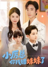 小厉总你找错妹妹了封面图