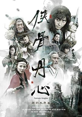 侠骨丹心封面图