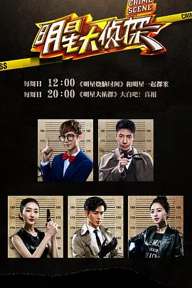 大侦探第十一季封面图