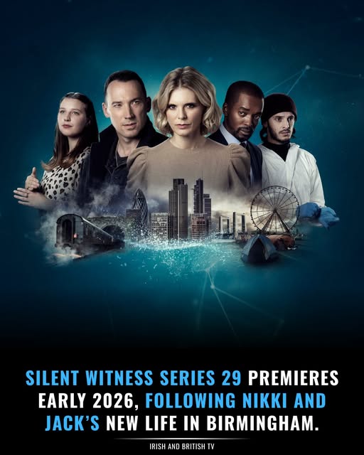 无声的证言第二十九季封面图