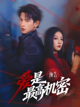 爱是最高机密封面图