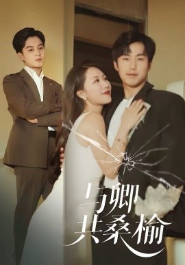 与卿共桑榆封面图