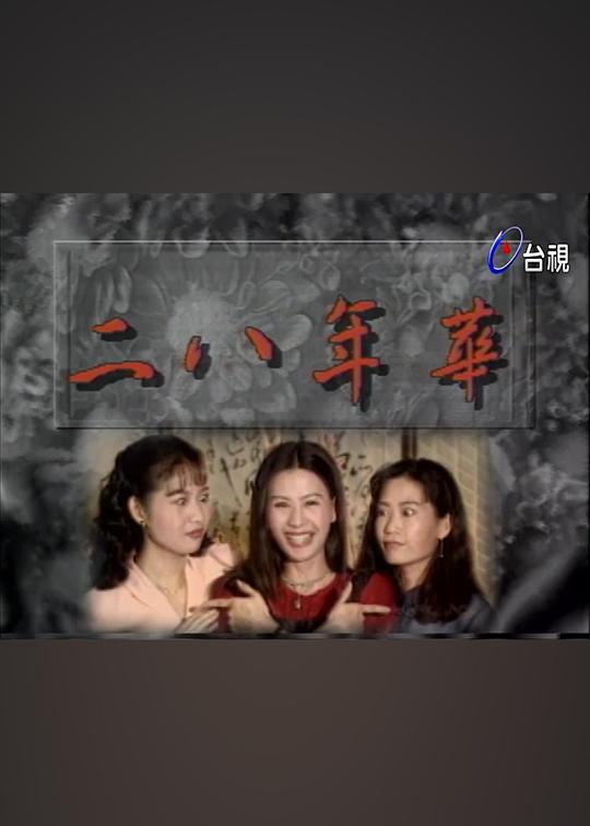 二八年华封面图