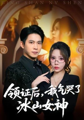 领证后，我气哭了冰山女神封面图