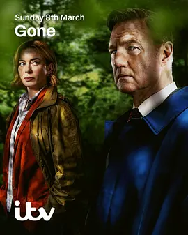 消失的妻子2026封面图