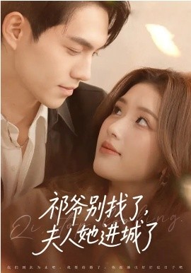 祁爷别找了，夫人她进城了