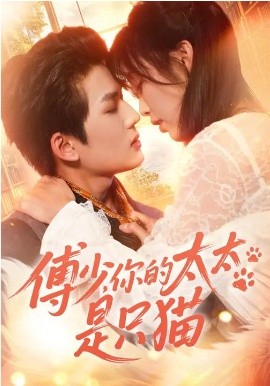 傅少，你的太太是只猫
