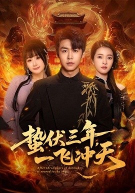 蛰伏三年，一飞冲天封面图