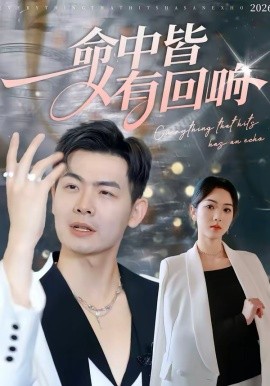 命中皆有回响封面图