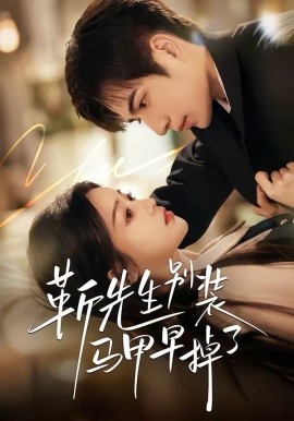 靳先生别装马甲早掉了封面图