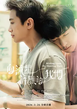 向流星许愿的我们封面图