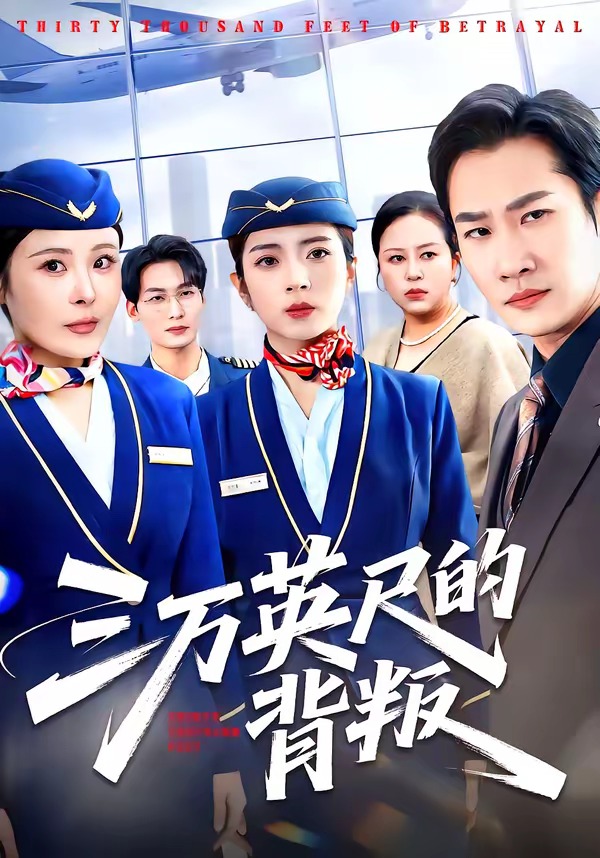 三万英尺的背叛封面图
