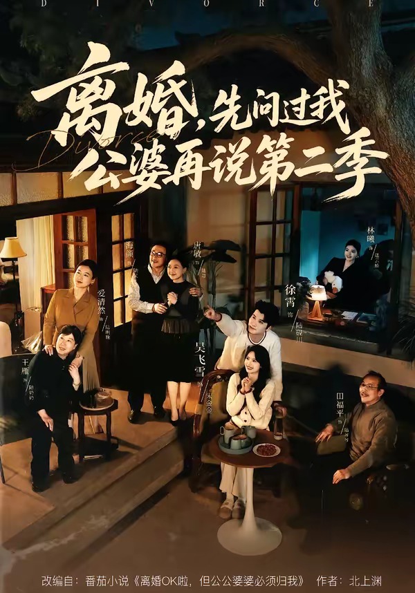 离婚，先问过我公婆再说 第二季