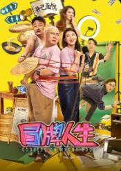 冒牌人生封面图