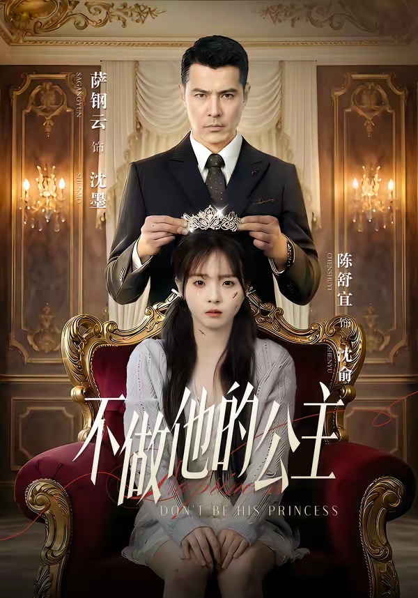 不做他的公主封面图