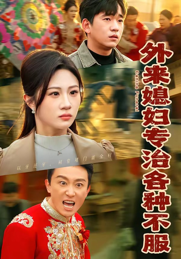 外来媳妇专治各种不服封面图