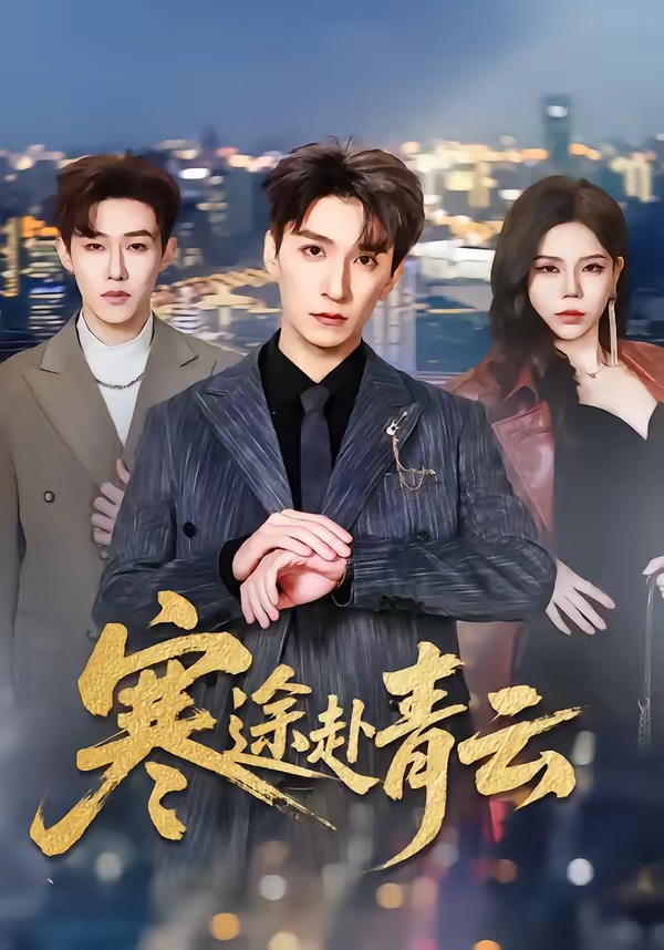 寒途赴青云封面图