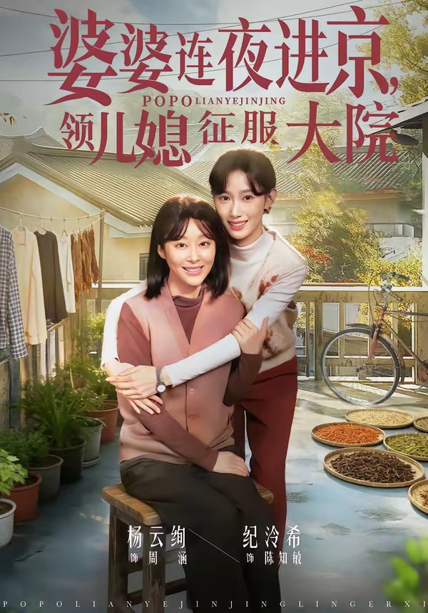 婆婆连夜进京，领儿媳征服大院封面图