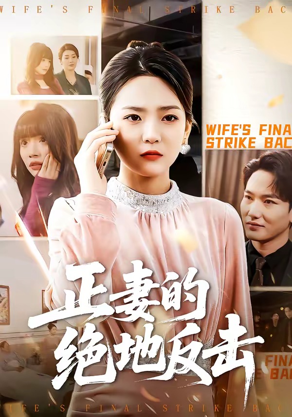 正妻的绝地反击封面图