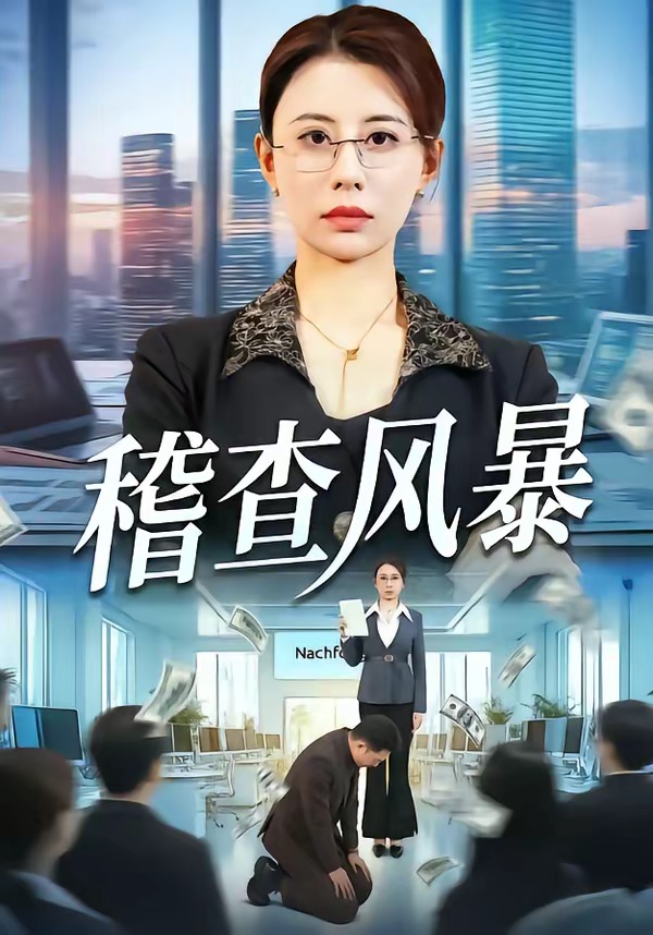 稽查风暴封面图
