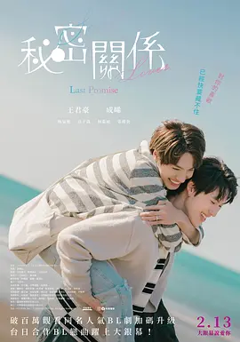 秘密关系：最后的约束封面图