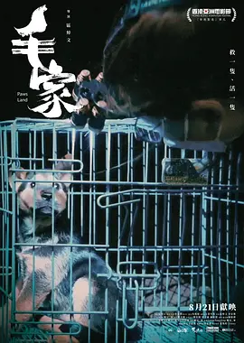毛家封面图