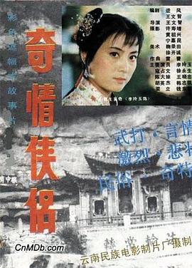 奇情侠侣封面图